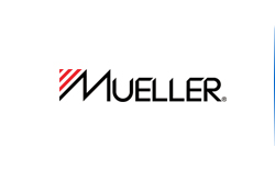 Mueller