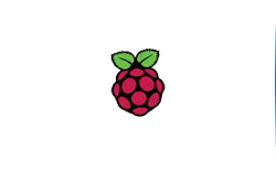 Raspberry