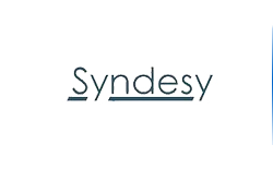 Syndesy